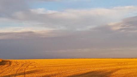 ¿Qué situaciones nos ponen nerviosos? ¿Qué situaciones nos ponen nerviosos?