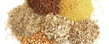 cereales2 Cereales de grano entero, una fuente de proteína, minerales y vitaminas