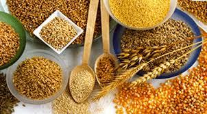 cereales1 Cereales de grano entero, una fuente de proteína, minerales y vitaminas