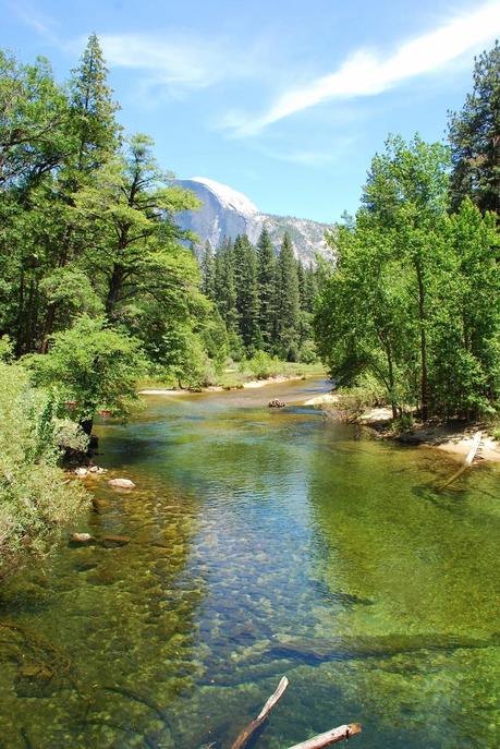 OLMSTED POINT: SECUOYAS OLMSTED POINT: SECUOYAS