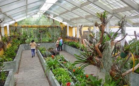 El jardín botánico de Bogotá es un paraíso