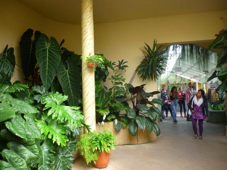 El jardín botánico de Bogotá es un paraíso