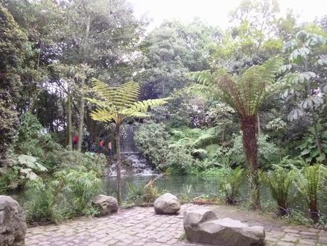 El jardín botánico de Bogotá es un paraíso