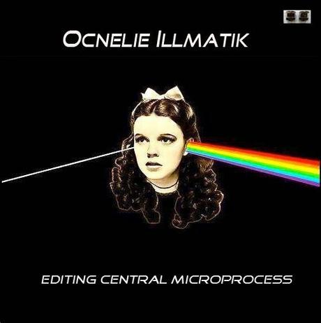 OCNELIE ILLMATIK - EDITING CENTRAL MICROPROCESS OCNELIE ILLMATIK - EDITING CENTRAL MICROPROCESS