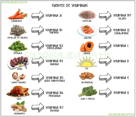 Las mejores fuentes de cada vitamina