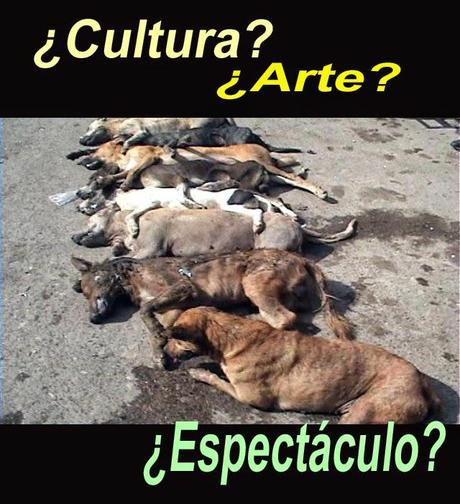 perros, matanza. muerte, muertos, toros