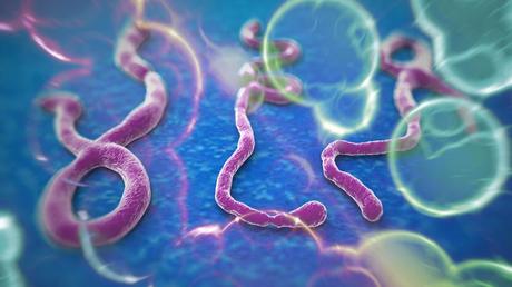 Posible primer caso de Ébola en Irlanda