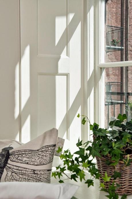 ESPACIOS ÚNICOS ESPACIOS ÚNICOS