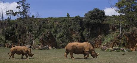 Parque de la Naturaleza Cabarceno