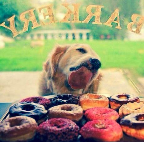 Egoblogueando Egoblogueando