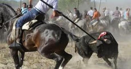 Rostros conocidos plantan cara a la fiesta del Toro de la Vega.