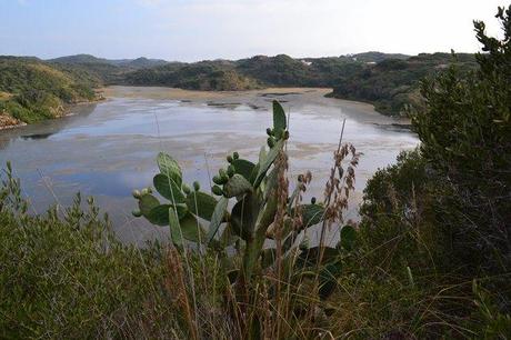 Albufera des Grao