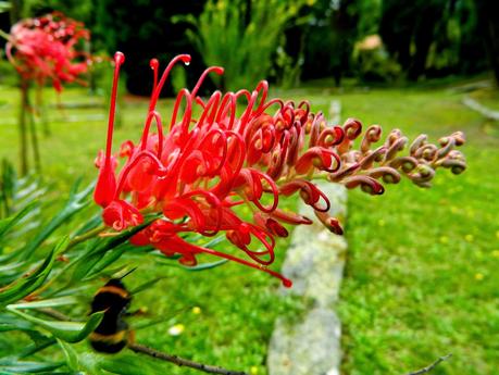 Agosto, ¿frío en rostro? ¡Noooo! Mucho calor y alguna que otra flor.