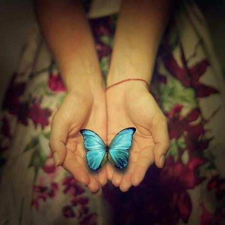 NO TE RINDAS, AMOR... NO TE RINDAS, AMOR...