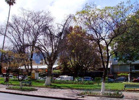 La ciudad mercadillo