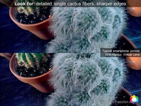 algolux-cactus-mejorado