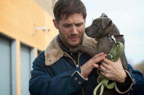 Trailers + Imágenes De The Drop De Tom Hardy y James Gandolfini