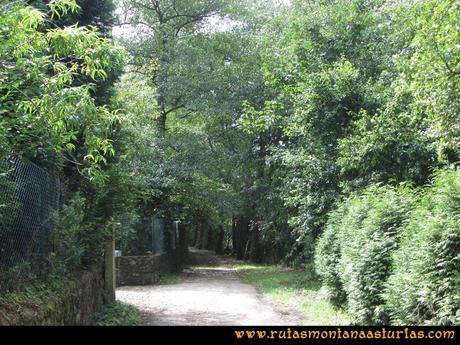 Ruta Cascadas Guanga, Castiello, el Oso: Camino entre La Riera y San Andrés