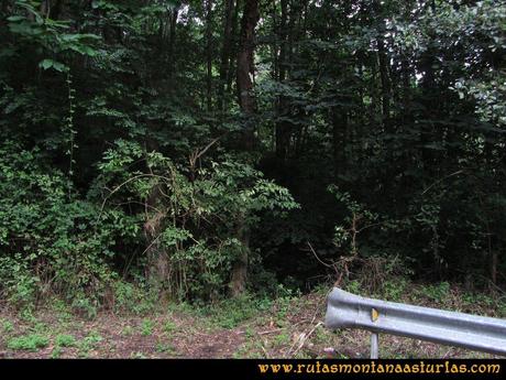 Ruta Cascadas Guanga, Castiello, el Oso: Entrada en el sendero que abandona la carretera