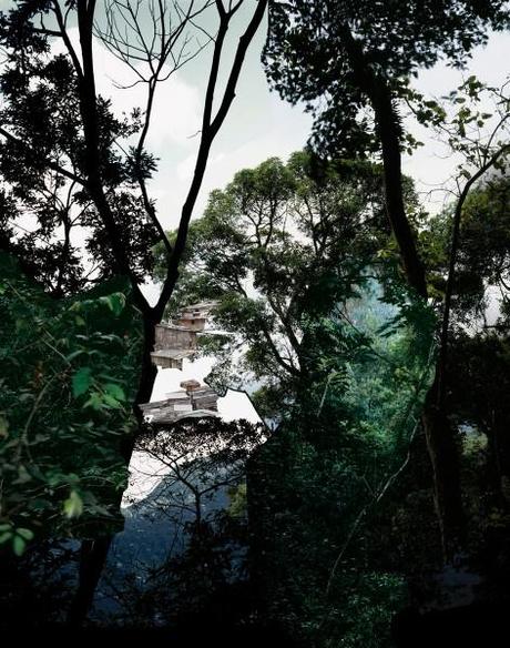 Caio Reisewitz, Boracéia, 2012. Cortesía Luciana Brito Galeria, São Paulo. © Caio Reisewitz