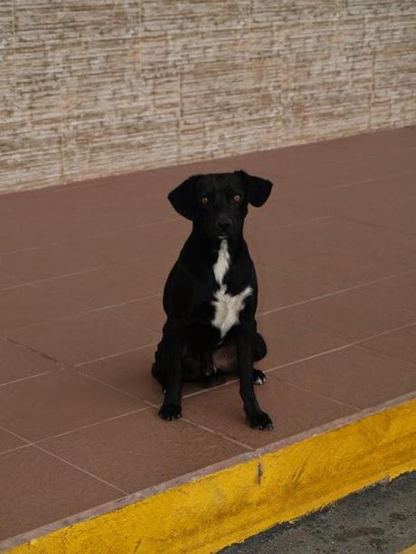 Un aeropuerto con sorpresa en Catamayo Un aeropuerto con sorpresa en Catamayo