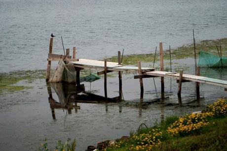 LA VIDA Y LA MUERTE, SIMPLES (I) La vida y la muerte, simples (I)