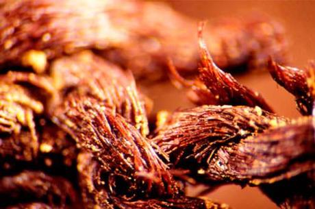 LOS PRIMEROS EMBALSAMADORES. La momificación comenzó en el Antiguo Egipto 1500 años antes de lo pensado Fibras de lino de Mostagedda © Ron Oldfield y Jana Jones