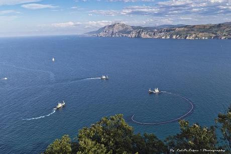 Pesca frente a Monte Buciero