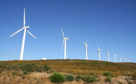 Energias renovables aerogeneradores #eolica #ecofriendly