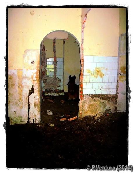 Tunel de la Engaña (Primera parte) Tunel de la Engaña (Primera parte)