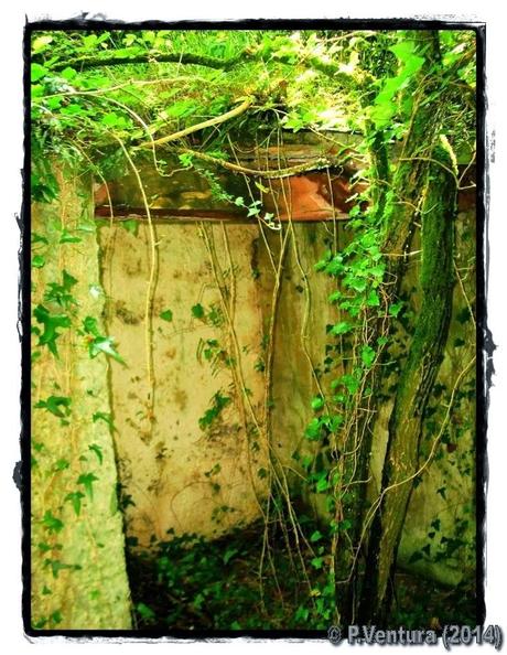 Tunel de la Engaña (Primera parte) Tunel de la Engaña (Primera parte)