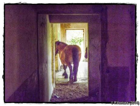 Tunel de la Engaña (Primera parte) Tunel de la Engaña (Primera parte)