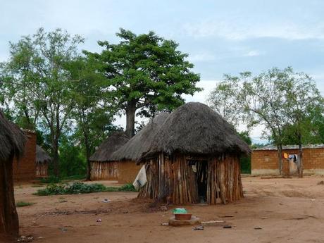 Lo esencial P1220229