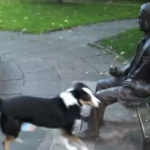robbie el perro que intentaba jugar con una estatua