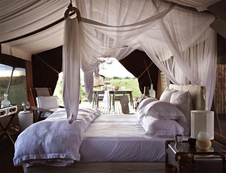 Luxury safari holiday