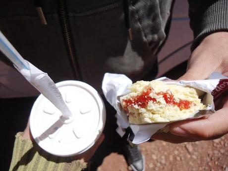 Expedición Alta Montaña. Frontera Argentina-Chile Expedición Alta Montaña. Frontera Argentina-Chile