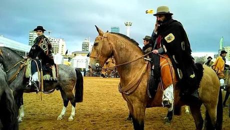 Del campo venimos y al campo vamos