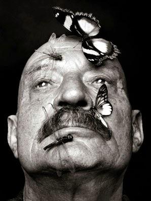 A José Hierro, nunca ido A José Hierro, nunca ido