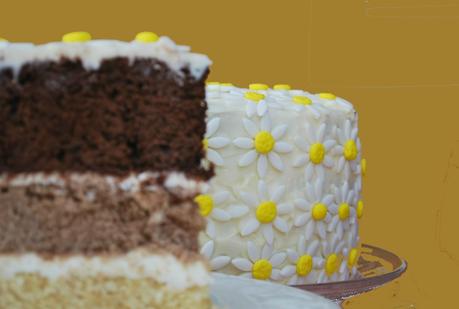 Daisy ombre cake Daisy ombre cake