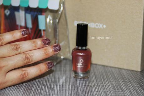 BIRCHBOX AGOSTO BIRCHBOX AGOSTO