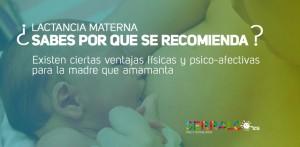 Lactancia Materna y Artificial Lactancia Materna