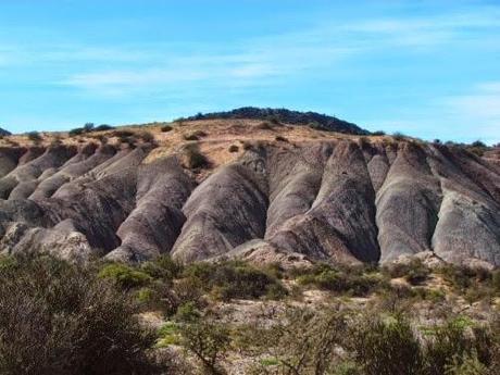 Parque Provincial Ischigualasto. San Juan. Argentina