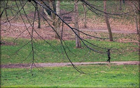 Villa Borghese: la gran villa romana