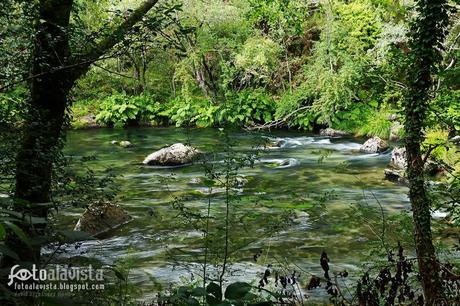 El río del bosque encantado. Fotografía creativa - Fotografía decorativa
