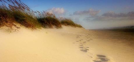 Cómo Crear un Legado y Dejar tu Huella en la Historia en 4 Pasos Crear un legado y dejar tu huella en la historia