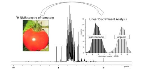 ¿Cómo saber si un alimento es orgánico? Tomates organicos