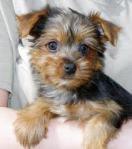 Salvajes imagesCAULJNC4