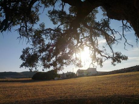 En un lugar del Sur / Places in the South En un lugar del Sur / Places in the South