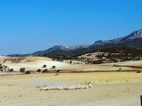 En un lugar del Sur / Places in the South En un lugar del Sur / Places in the South