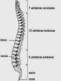 ¿Se puede sufrir lesiones en el ajedrez? ¿Se puede sufrir lesiones en el ajedrez?